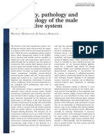 Mawhinney Et Al-2013-Periodontology 2000