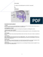 notes-REPRODUCTION AND BREEDING IN CATTLE..new Syllabus