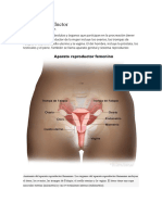 Aparatos Reproductores