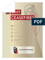 Why Ceasefire Co2