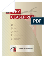 WHY CEASEFIRE Portable FE