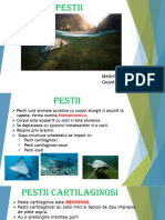 PESTII