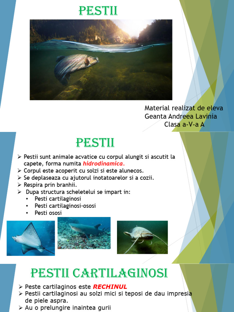 PESTII | PDF