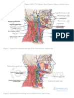 Anatomy of The Lymphatics of The Neck - Video - Osmosis