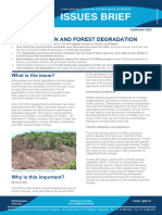 Deforestation-Forest Degradation Issues Brief 2021