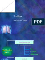 Thorax 1