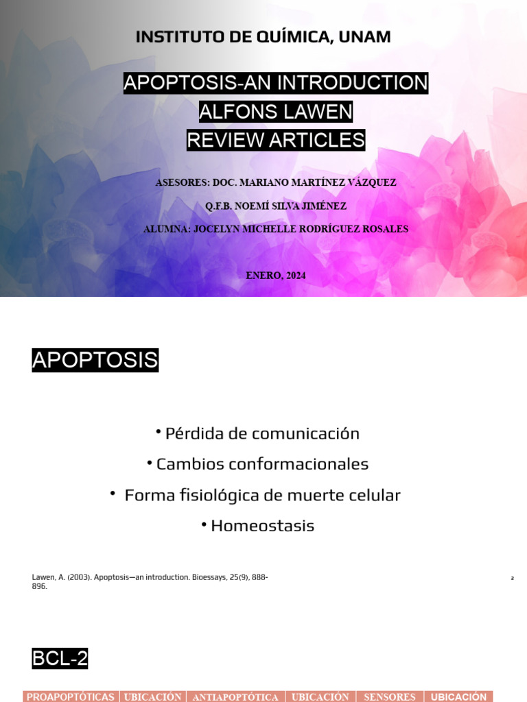 Reguladores de La Apoptosis | PDF | Apoptosis | Bcl 2