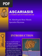 Ascariasis - Mato