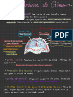 Aula 01 - Fossa Anterior e Média