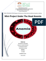 Anemia Mini Project