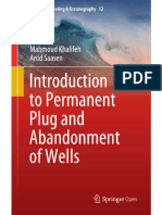 (46) Introduction to Permanent Plug and Abandonment of Wells