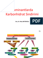 4 - Ruminantlarda Karbonhidrat Sindirimi