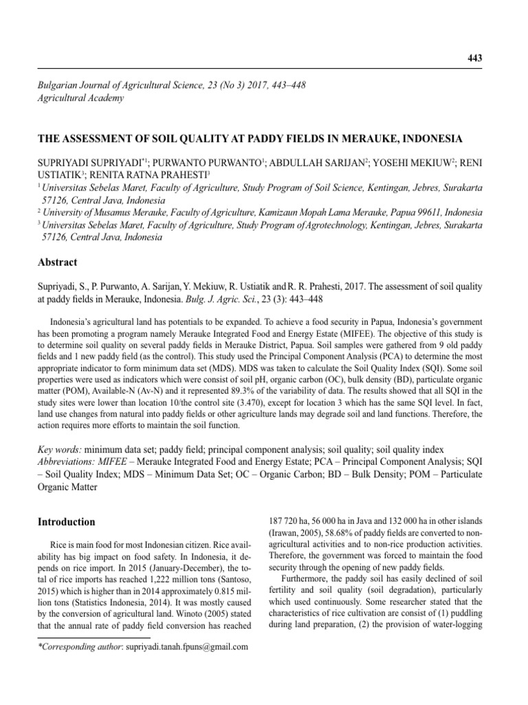 Soil Quality Assessment in Merauke Paddy Fields | PDF | Soil | Fertilizer