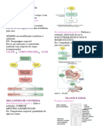 Anatofisiologia AULA 1 