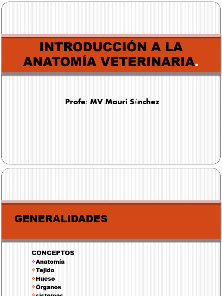 Introducción A La Anatomía Veterinaria Pdf Salud Y Bienestar