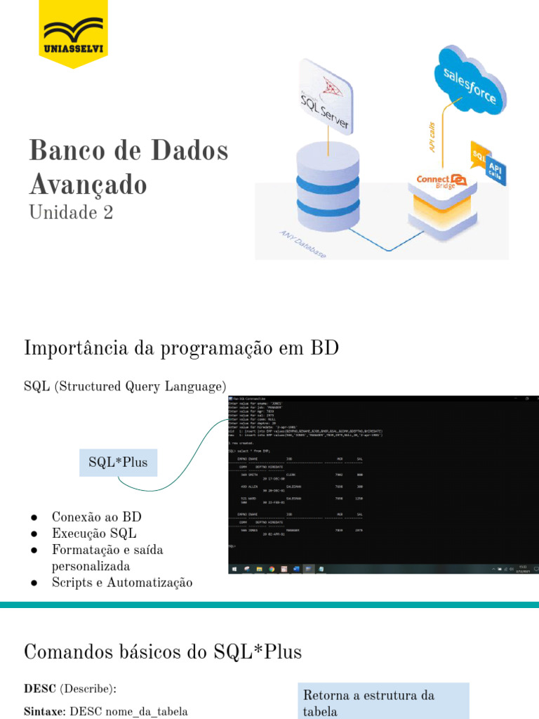 Programação Avançada em SQL e PL/SQL | PDF | SQL | PL/SQL