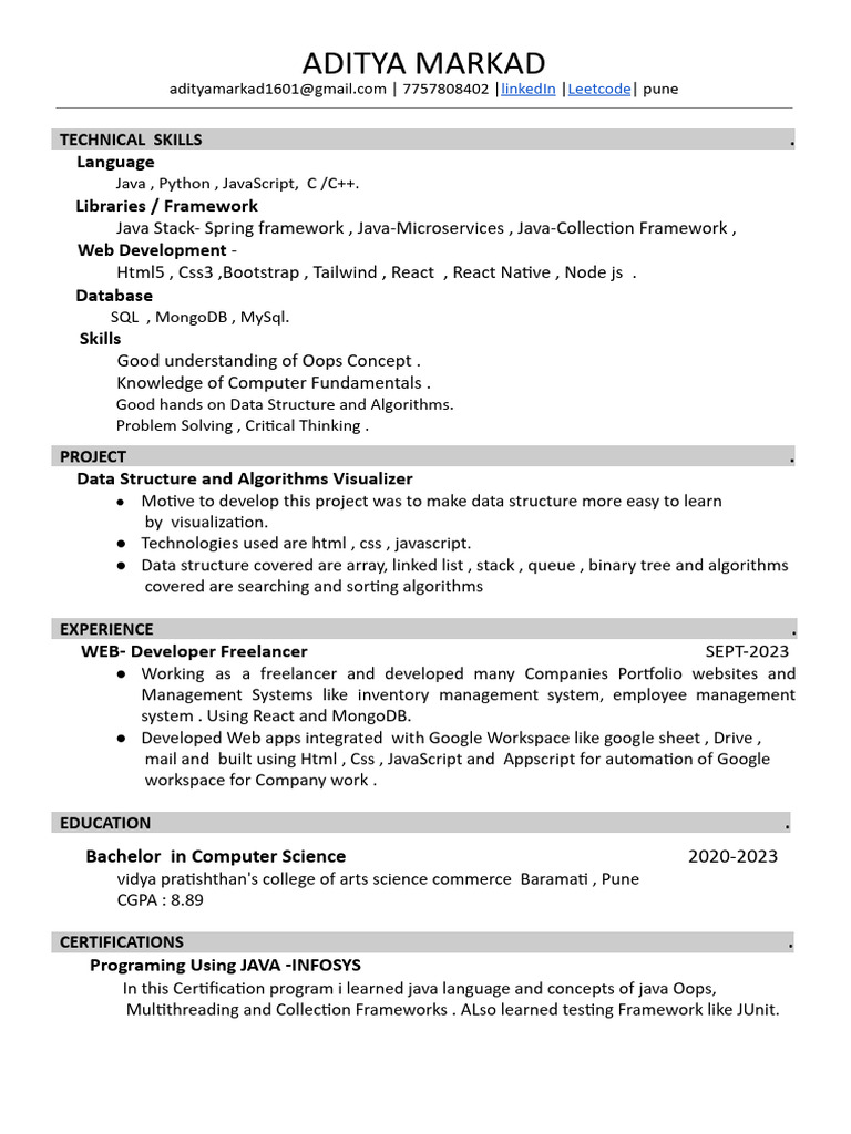 Aditya Markad: Web Developer Profile | PDF | Java Script | Computer ...