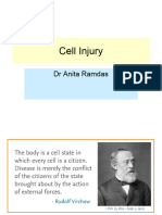 Cell Injury 14.3.22
