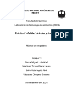 Informe P1 - Equipo 11