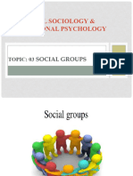 Social Groups Ch.3