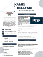 Blue Professional Modern CV Resume - 3