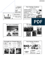 Terapia Manual Baseada em Evidencias - Prof. Scattone