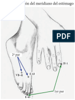 6.[PDF] Meridiano Del Estómago