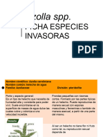 UD6. Ficha Especies Invasoras