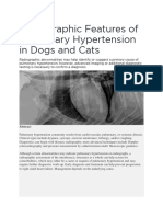 Radiographic Features of Pulmonary Hypertension in Dogs and Cats