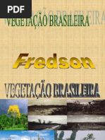 AULA, 3 - VEGETAÇÃO BRASIL