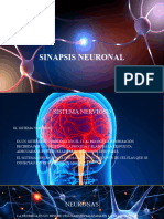 Sinapsis Neuronal Simps