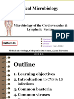 Presentation Cardiovascular System