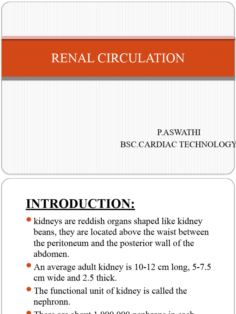 RENAL ARTERY FUNCTION IN CIRCULATORY SYSTEM intelligence overview