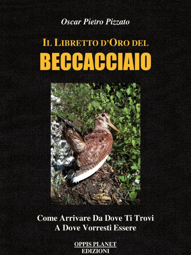 Livre 'Bibliografia Italiana Sulla Beccaccia' De Roberto Basso - Chasse Et Ornithologie, 2006