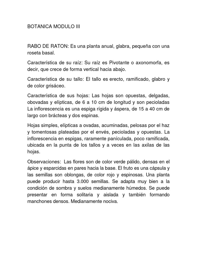 Características de Rabo de Ratón, Samán y Guásimo | PDF | Plantas ...