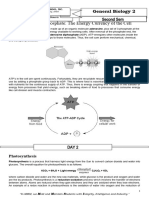 Gen Bio Module