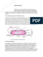 Structure de La Cellule Procaryote