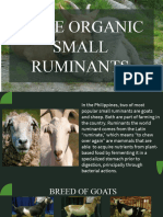Raise Organic Small Ruminants