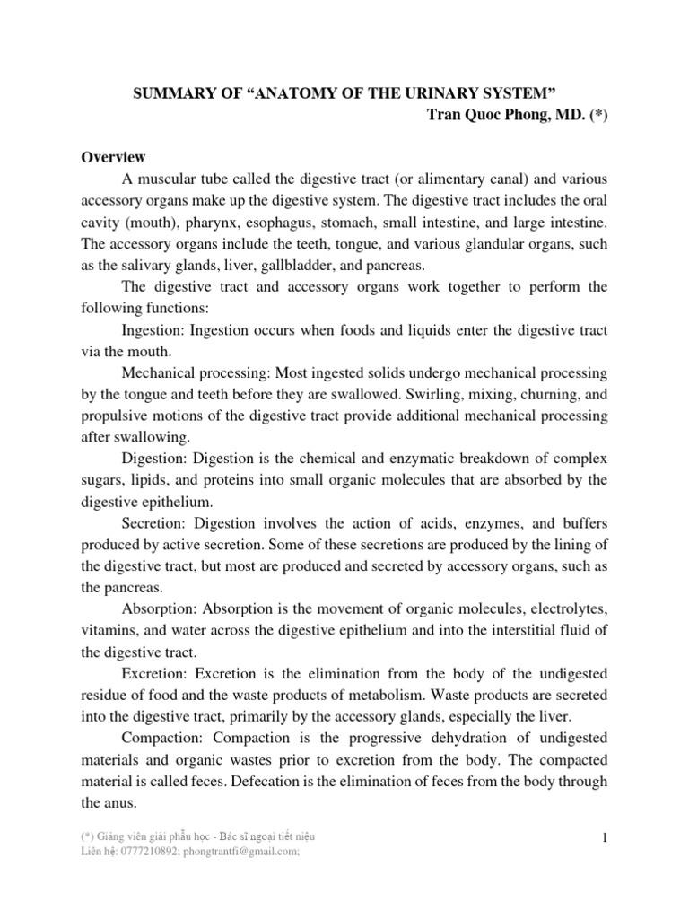 WHAT IS DIGESTIVE SYSTEM PDF visual data 8