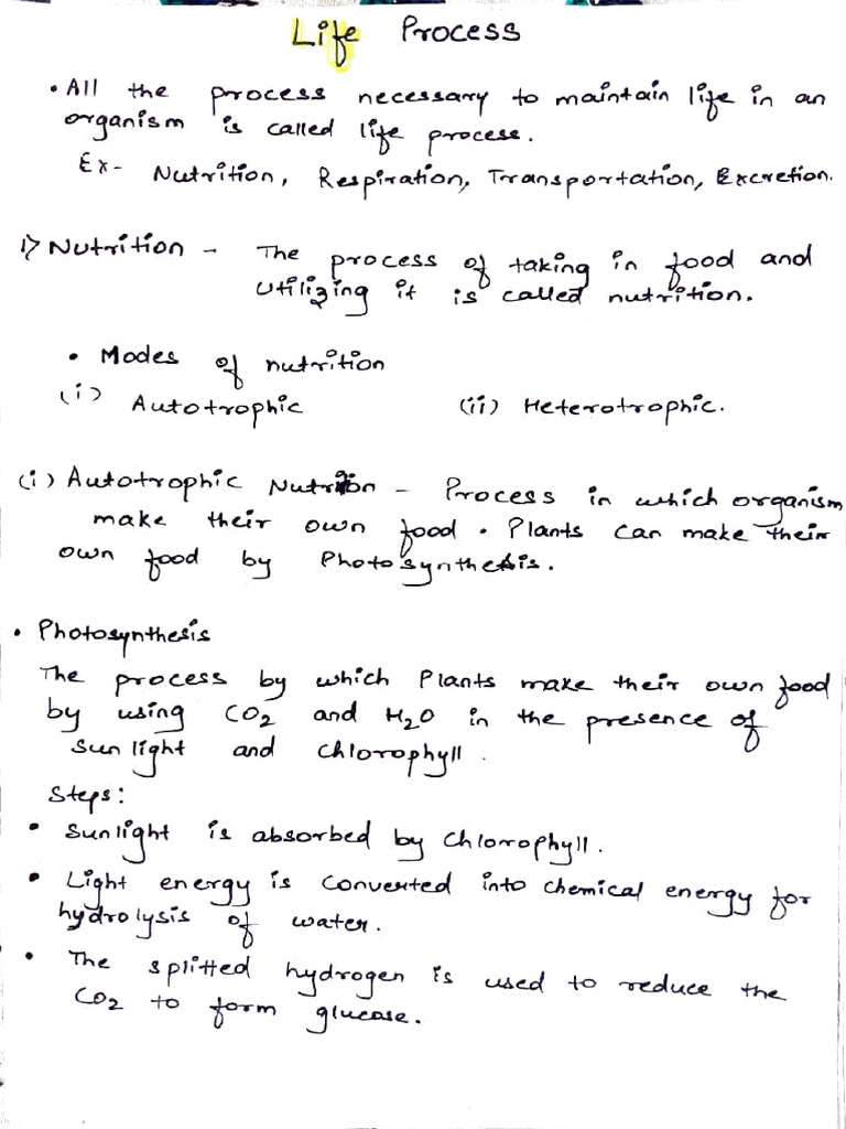 Life Processes in Organisms Explained | PDF | Stomach | Digestion