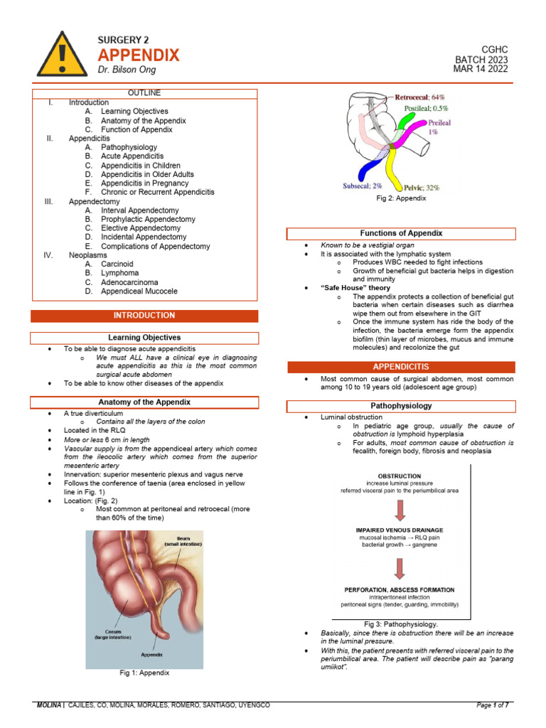 (Surg2-Trans) 4.01 Appendix | PDF | Gastroenterology | Diseases And ...