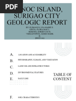 Geologic Report