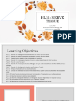 1 Hist Sept 13 HL11 Nerve Tissuestudent2020