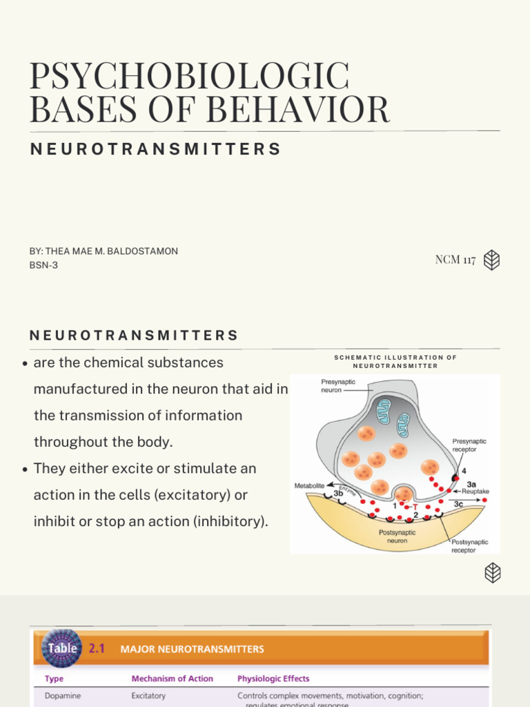 NEUROTRANSMITTERS TYPES AND FUNCTIONS PDF visual data 2