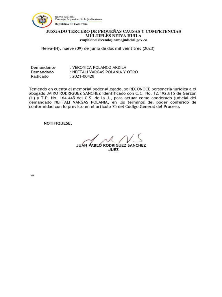 Auto reconoce personeria pdf