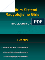 Sindirim Sistemi Radyolojisine Giriş 2024