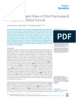 Underappreciated Roles of DNA Polymerase &#x3b4 I