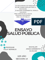 Ensayo Salud Pública.