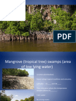 Mangroves