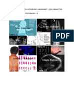 (Assignment - 1) Non-Disjunction Disorders